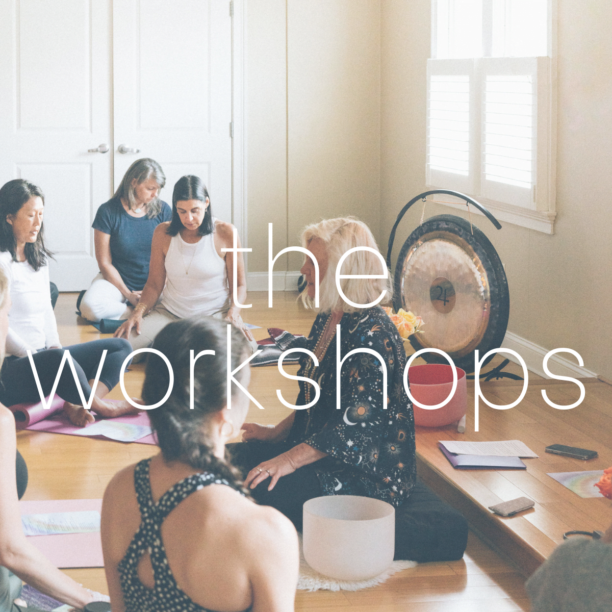 Read more about the article workshops